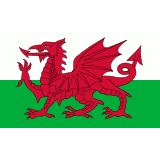 The Welsh Flag